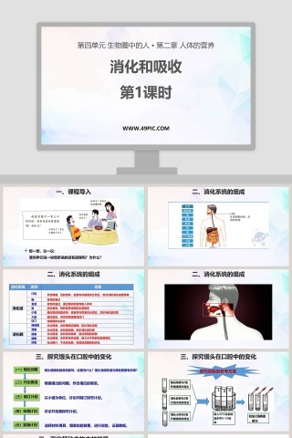 消化和吸收-第教学ppt课件