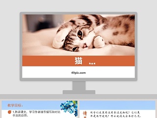 课文解析猫语文课件PPT