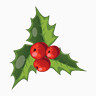 christmas mistletoe icon