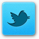 twitter bird icon