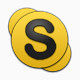 Skype icon