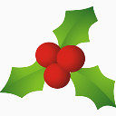 christmas mistletoe icon