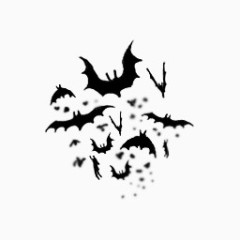 黑蝙蝠图标