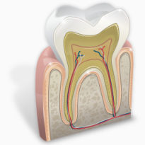 牙科学图标下载