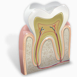 牙科学图标
