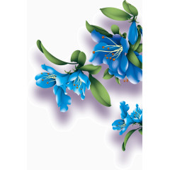 蓝色花卉