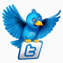 twitter23图标