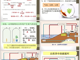 自然界中的氧循环和碳循环教学ppt课件