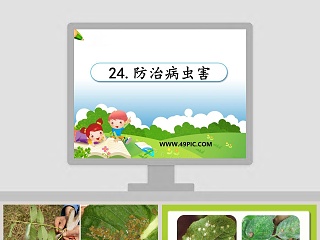 24时计时法教学ppt