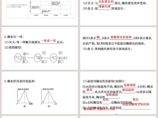 降低化学反应活化能的酶-第二课时酶的特性教学ppt课件