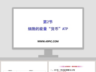 高三复习化学键ppt