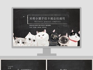 呆萌小猫手绘卡通总结通用PPT