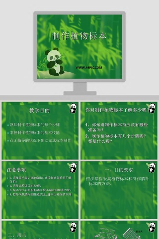 制作植物标本的艺术：使用PPT模板提高竞聘行业的表现力