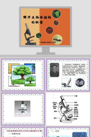 解开生物体结构-的秘密教学ppt课件