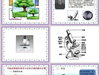 解开生物体结构-的秘密教学ppt课件