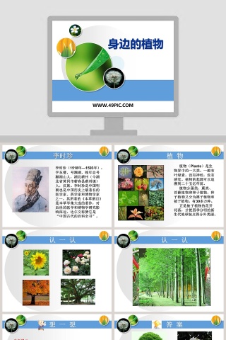 身边的植物教学ppt课件