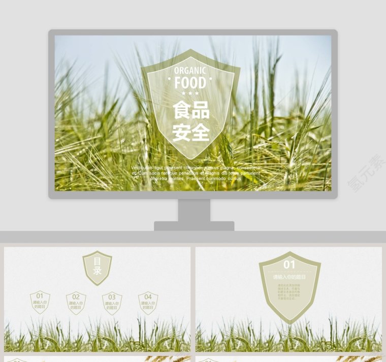 食品安全农业招商农产品宣传PPT模板第1张