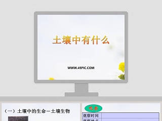 土壤中有什么教学ppt课件