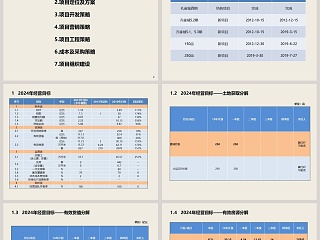 房地产项目经营方案PPT