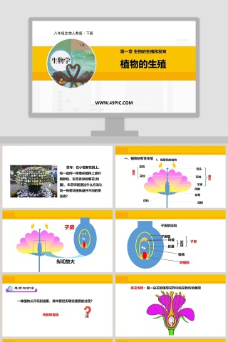 第一章 生物的生殖和发育-植物的生殖教学ppt课件下载