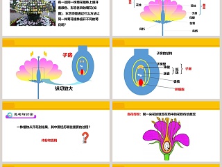 第一章 生物的生殖和发育-植物的生殖教学ppt课件