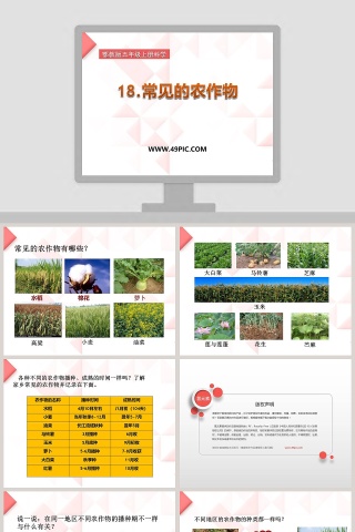 18-常见的农作物教学ppt课件下载
