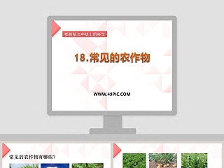 18-常见的农作物教学ppt课件