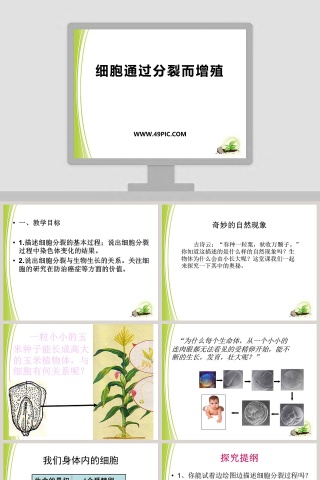 细胞通过分裂而增殖的生物学原理及PPT模板