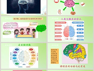 脑的保健-大象版科学五年级上册教学ppt课件