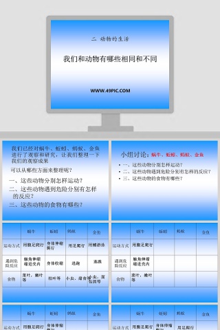 我们和动物有哪些相同和不同教学ppt课件