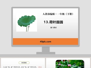 人教部编版一年级语文下册荷叶圆圆语文课件PPT