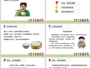 米饭淀粉和碘酒的变化教学ppt课件