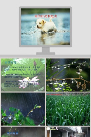 大班科学课件PPT：雨的好处和危险