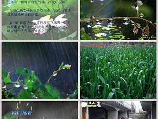 大班科学课件PPT：雨的好处和危险
