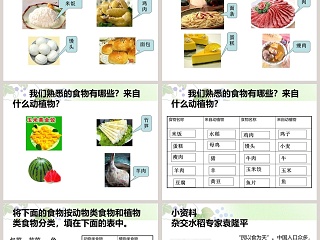 食物从哪里来-鄂教版三年级科学上册课件教学ppt课件