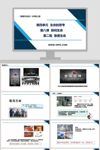第四单元  生命的思考-第八课  探问生命教学ppt课件