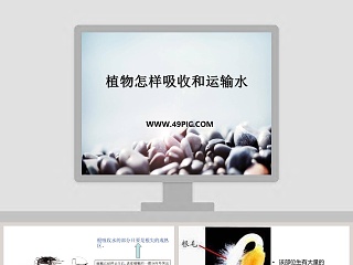 透析患者导管护理方法ppt