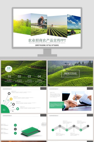 简约清新农业招商农产品宣传PPT模板下载