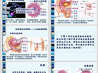 第-1教学ppt课件