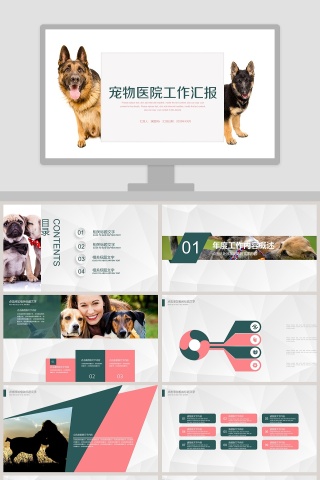 宠物医院工作汇报PPT模板