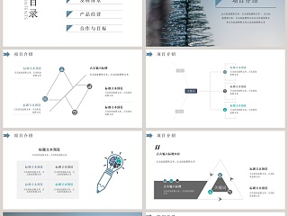 白色简约述职报告PPT模板