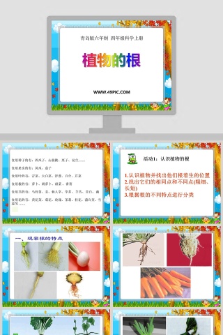 青岛版六年制 四年级科学上册-植物的根教学ppt课件