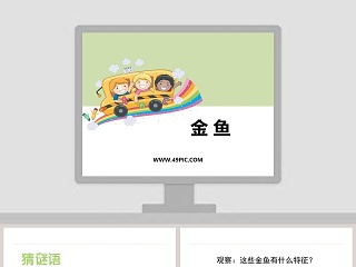 0-金 鱼教学ppt课件