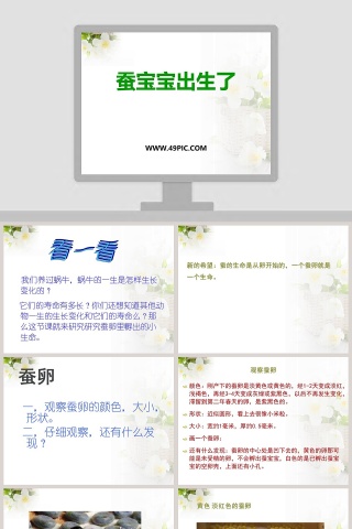 蚕宝宝出生了教学ppt课件