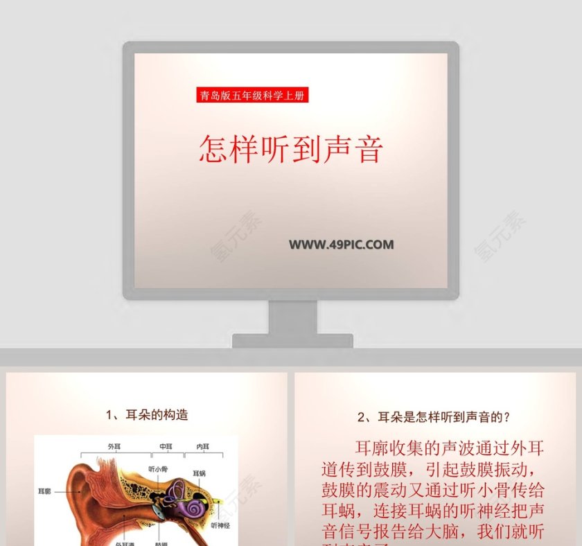 怎样听到声音青岛版五年级科学上册PPT模板下载