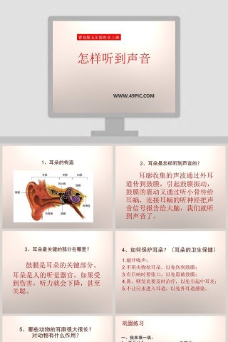 怎样听到声音青岛版五年级科学上册PPT模板下载