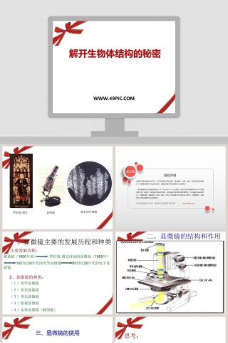 解开生物体结构的秘密教学ppt课件