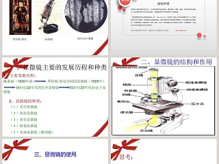 解开生物体结构的秘密教学ppt课件