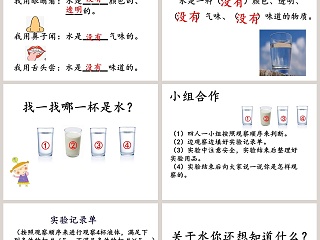 大象-版小学科学一年级下册第一单元教学ppt课件