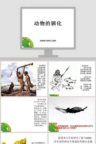 动物的驯化教学ppt课件